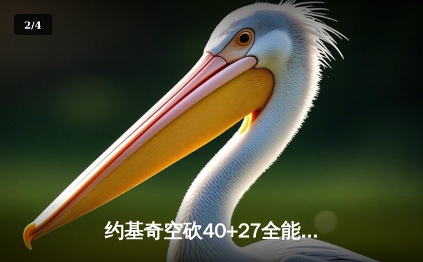 约基奇空砍40+27全能数据，掘金加时鏖战惜败太阳，杜兰特布克合砍68分 - 2